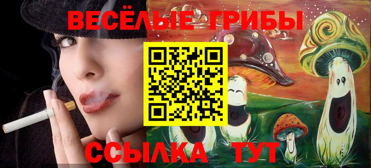 купить   Галлюциногенные грибы мухоморы  Вход с VPN  Вичуга 